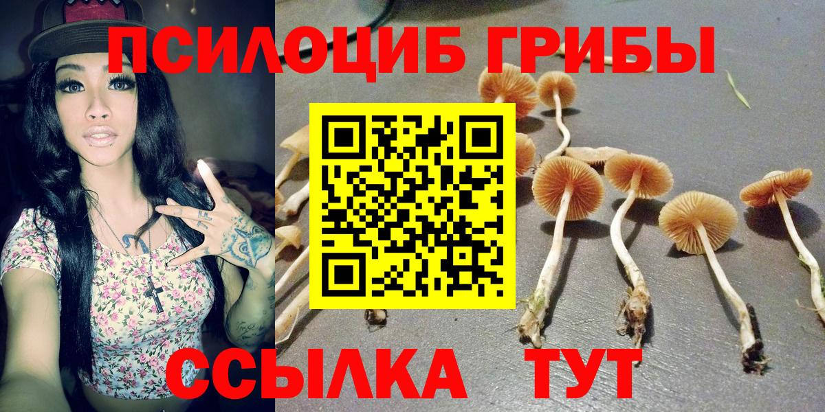 Псилоцибиновые грибы MAGIC MUSHROOMS Мытищи