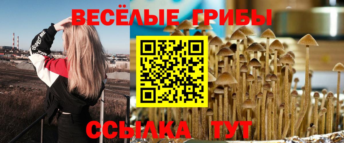 Мытищи  купить закладку  Псилоцибиновые грибы мухоморы  Вход с VPN  Галлюциногенные грибы Psilocybine cubensis 